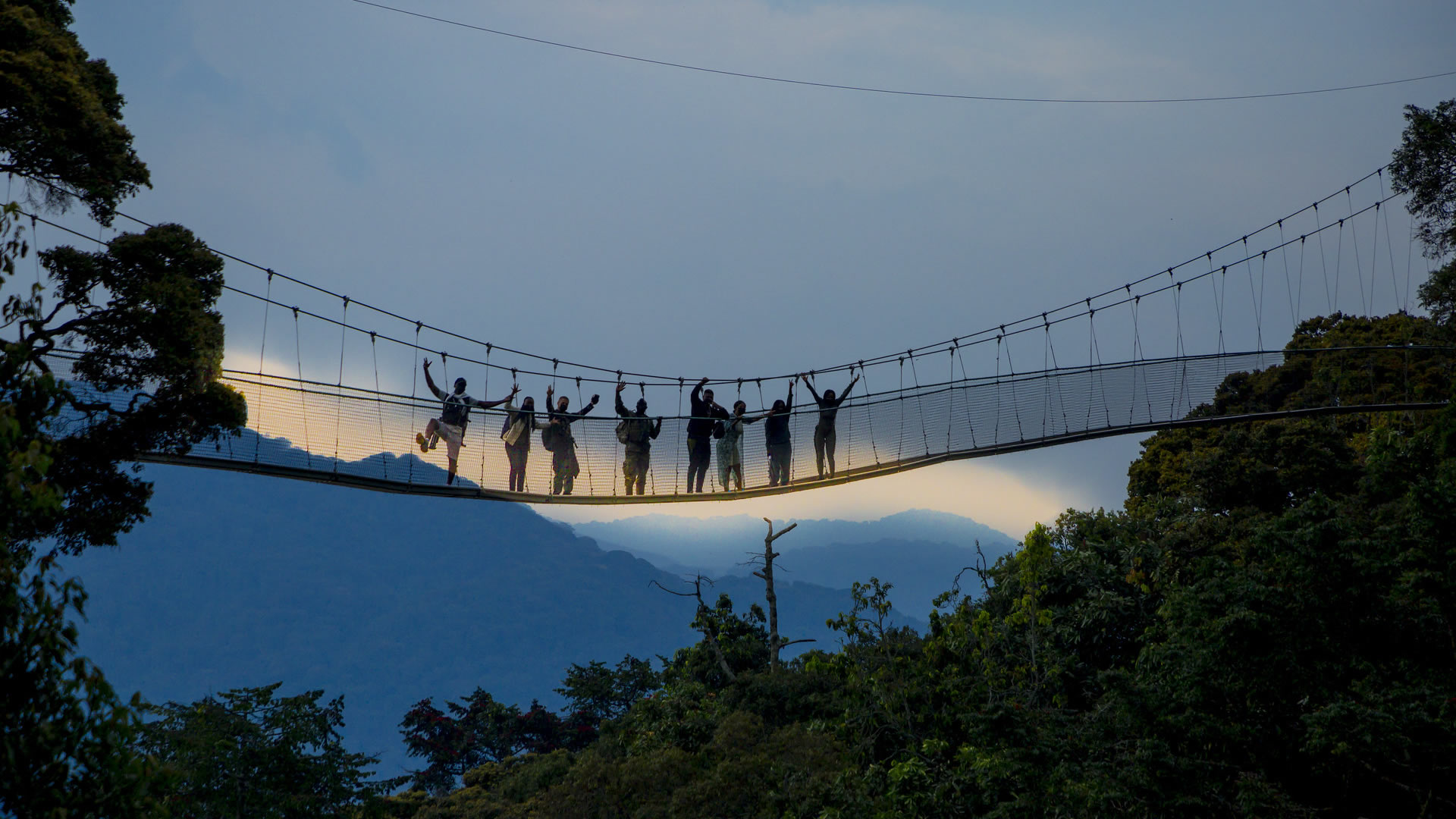 Nyungwe National Park