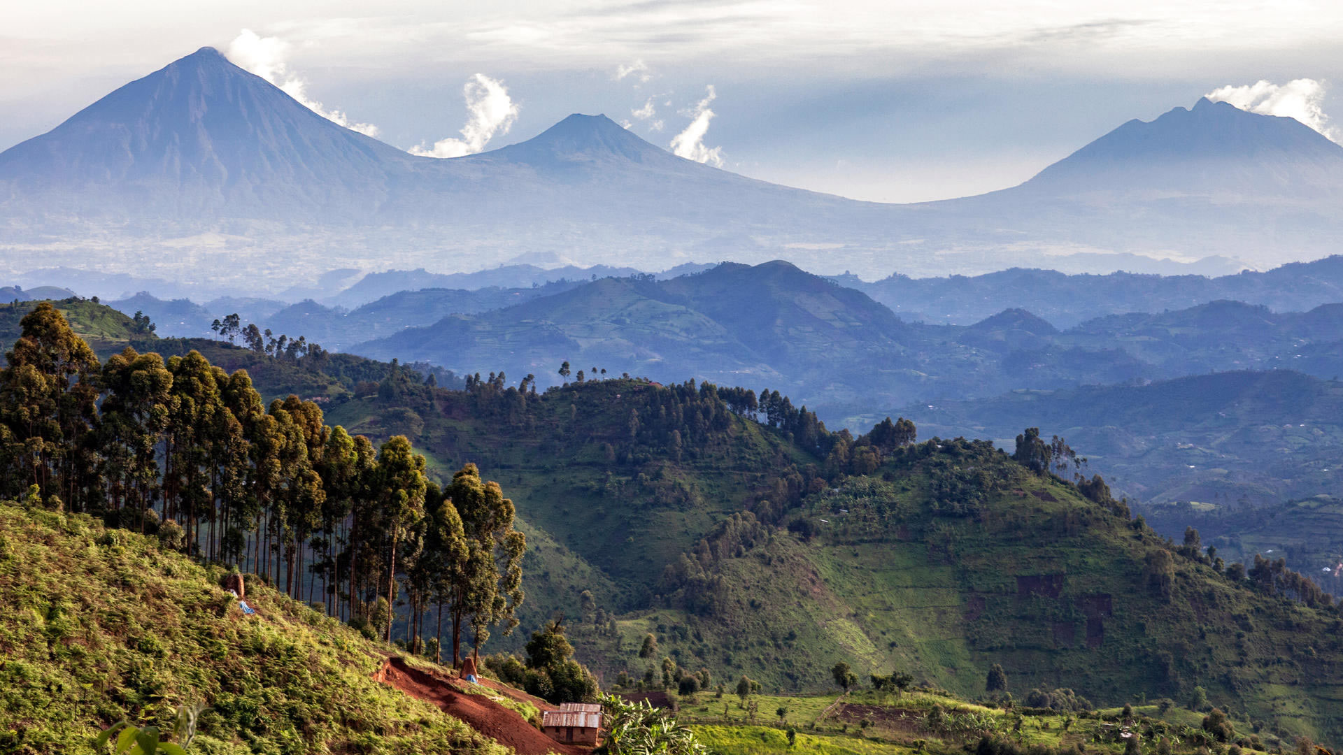 Rwanda Tour Adventures